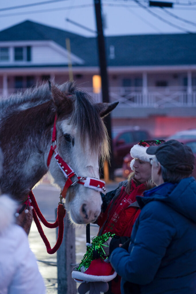 christmas by the sea horses in parade